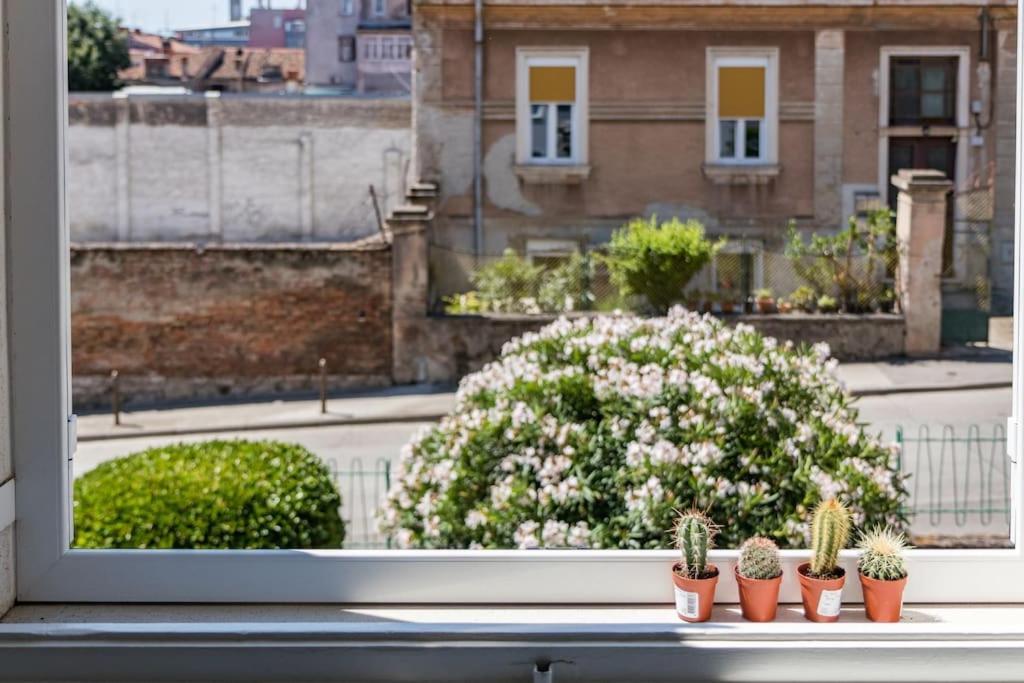 Quirky Apartment Arena With Parking Pola Esterno foto